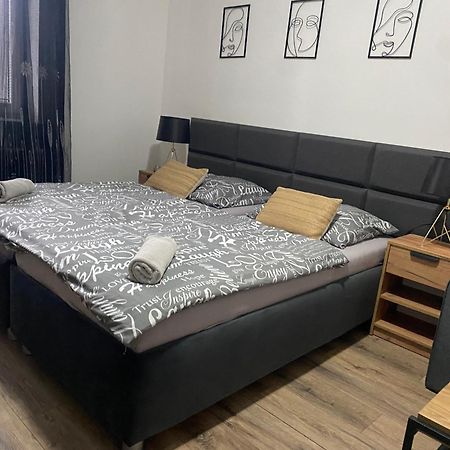 Cerna Ruze - Apartman 4 Пльзень Экстерьер фото