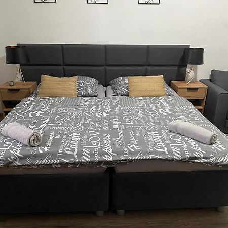 Cerna Ruze - Apartman 4 Пльзень Экстерьер фото