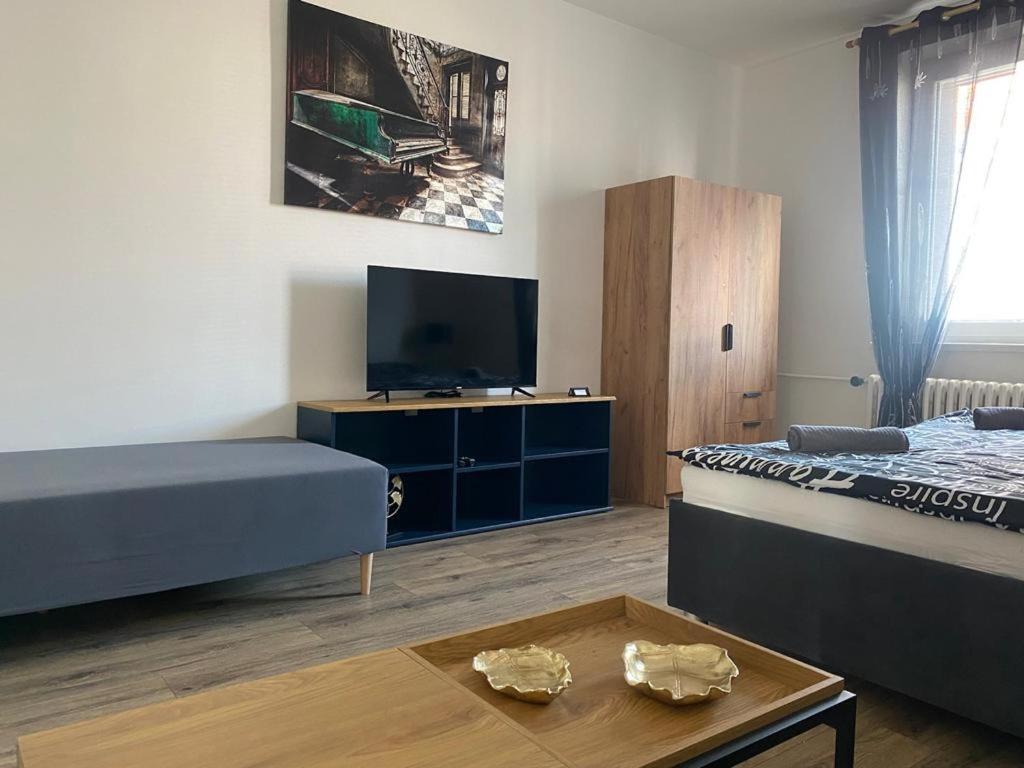 Cerna Ruze - Apartman 4 Пльзень Экстерьер фото