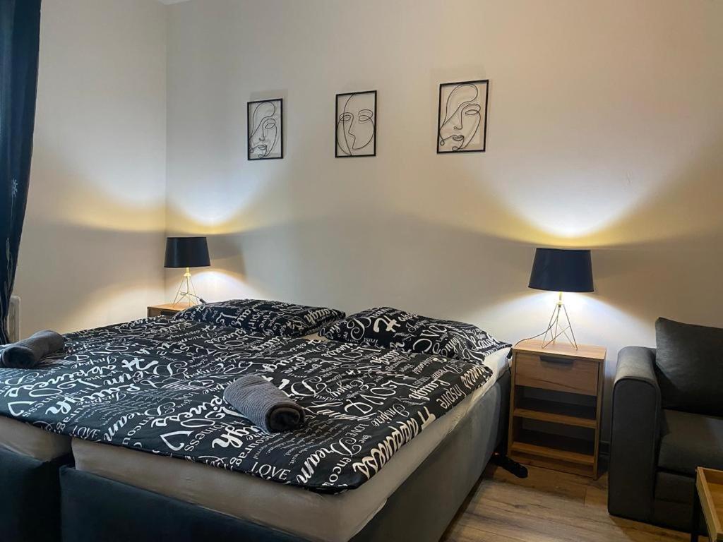 Cerna Ruze - Apartman 4 Пльзень Экстерьер фото