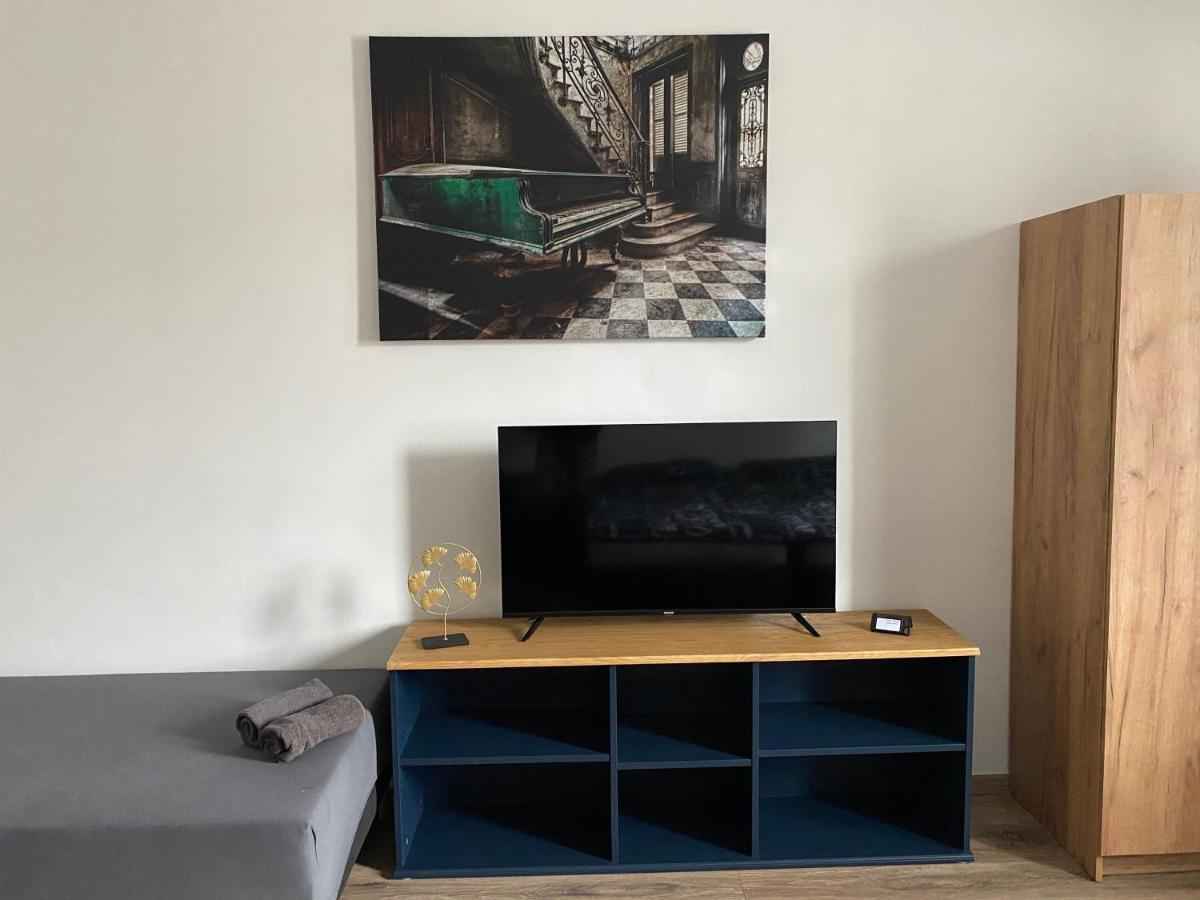 Cerna Ruze - Apartman 4 Пльзень Экстерьер фото