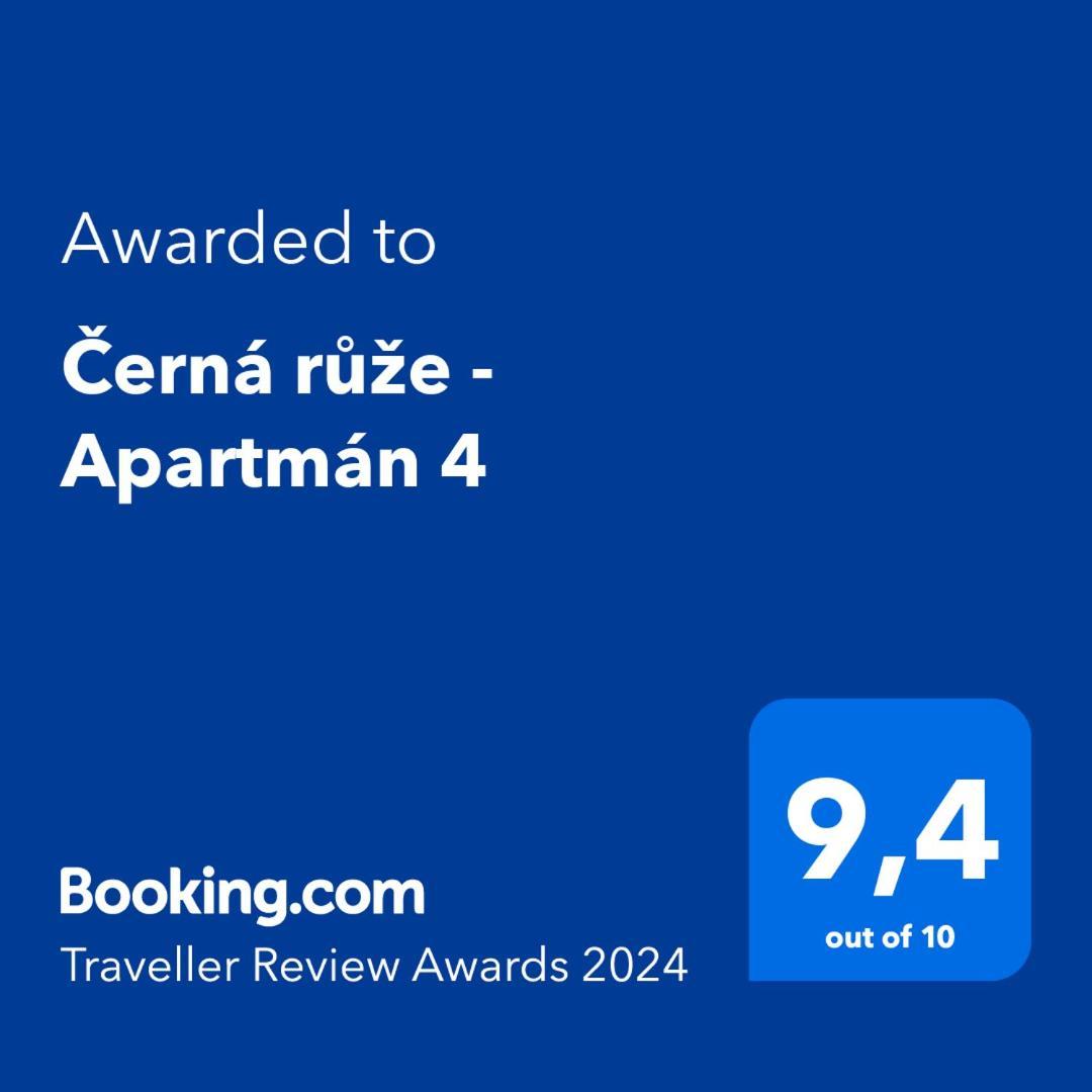 Cerna Ruze - Apartman 4 Пльзень Экстерьер фото